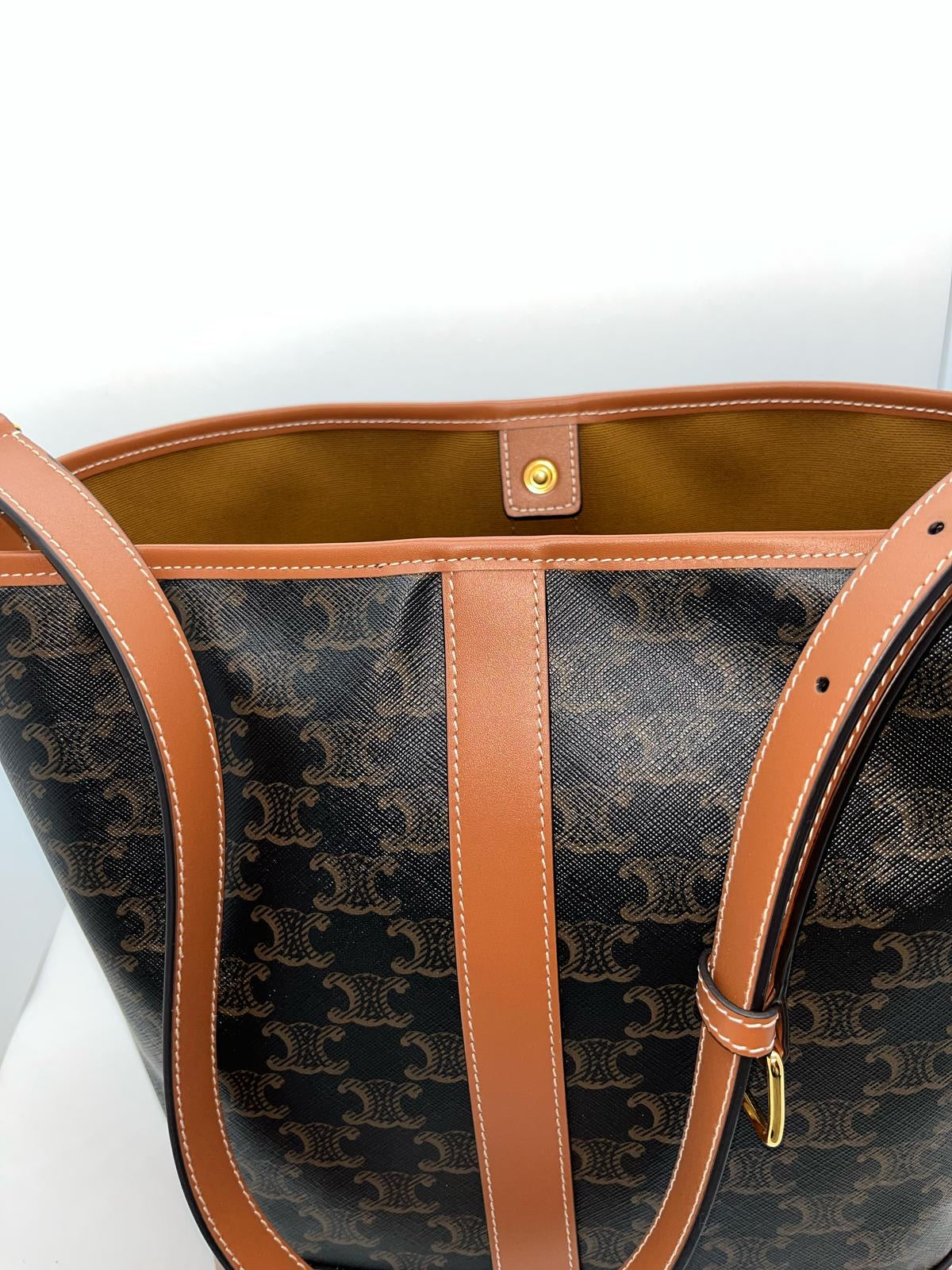 Celine Triomphe Canvas Small Bucket