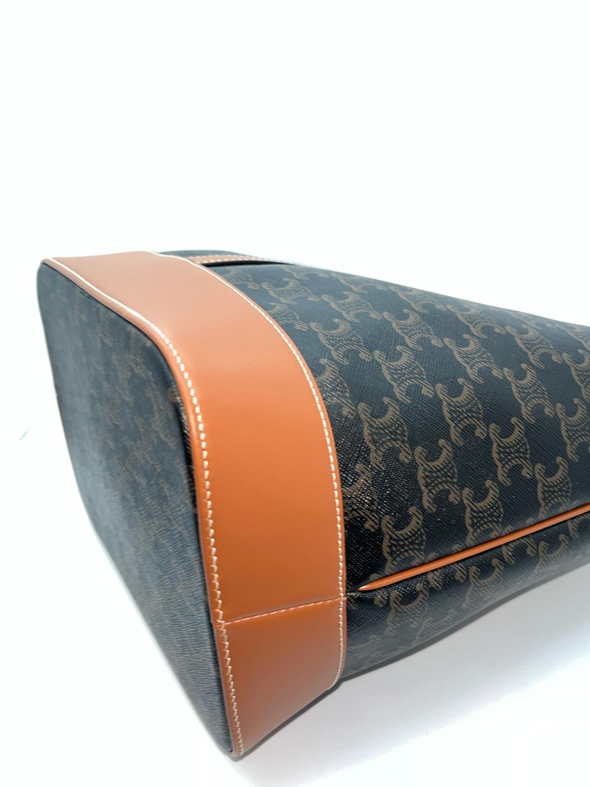 Celine Triomphe Canvas Small Bucket