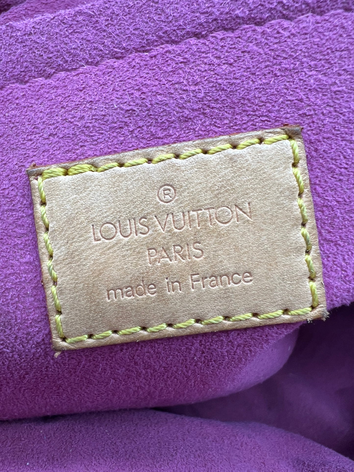 Louis Vuitton speedy neo