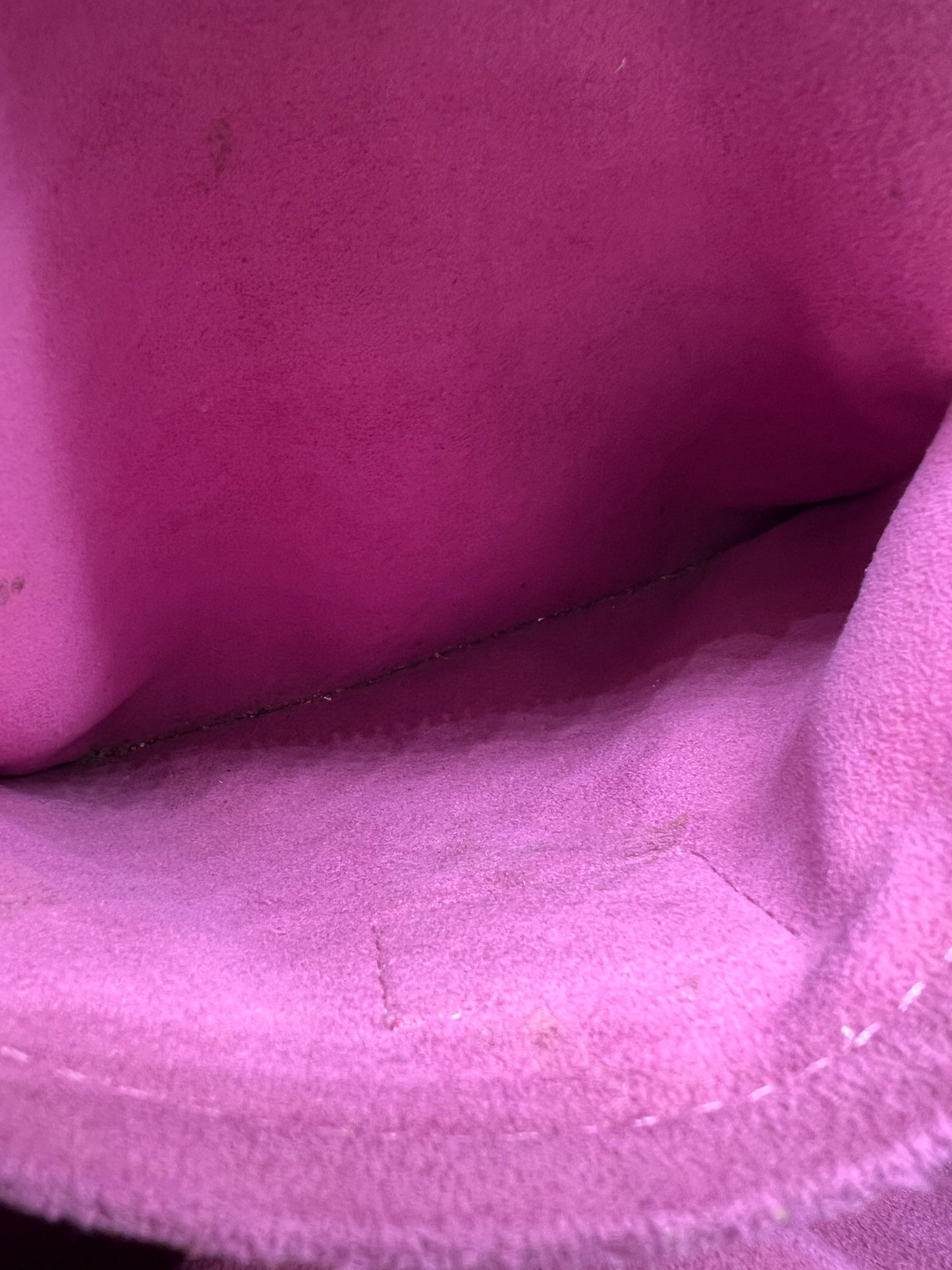 Louis Vuitton speedy neo