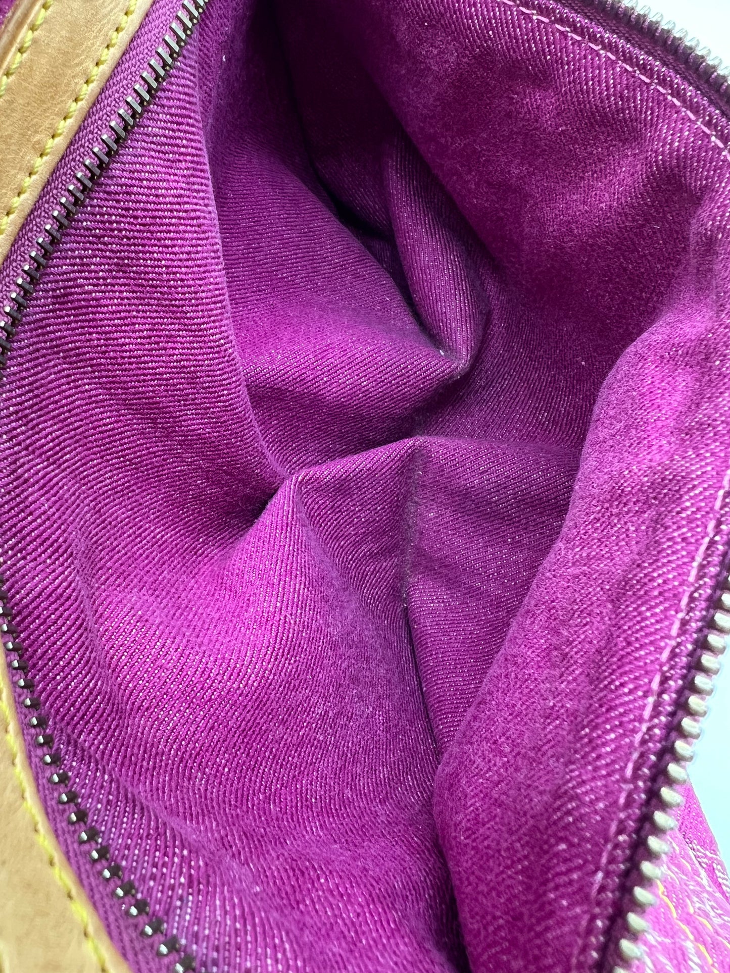 Louis Vuitton speedy neo