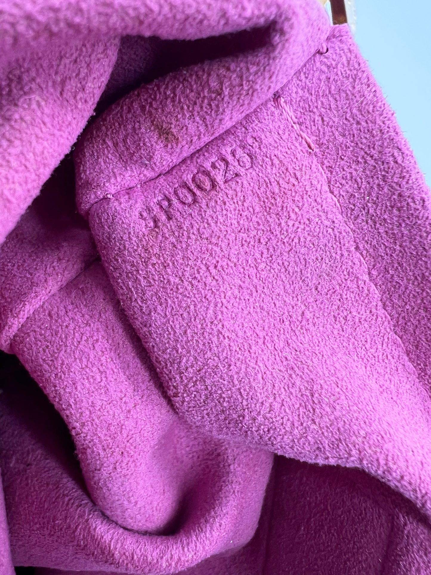 Louis Vuitton speedy neo