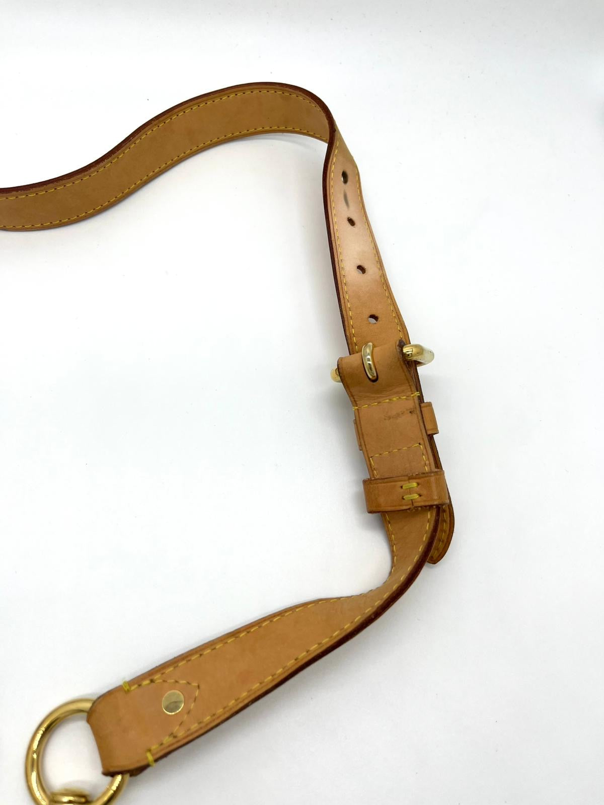 Louis Vuitton Tracolla