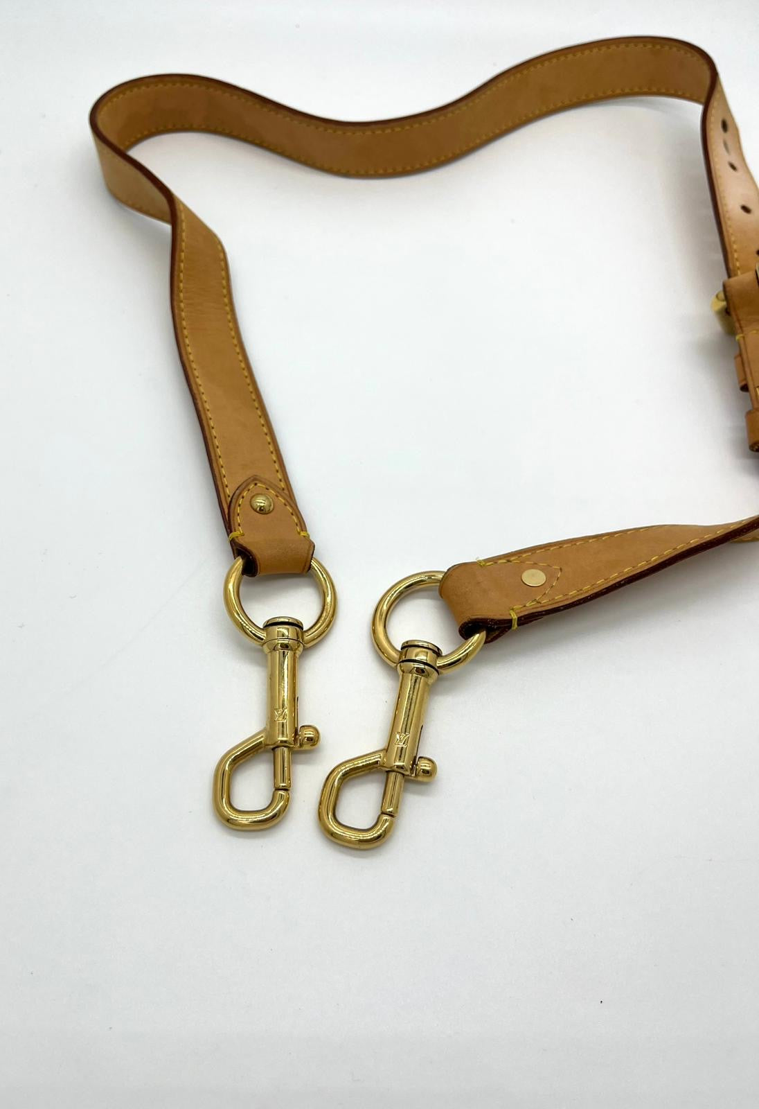 Louis Vuitton Tracolla